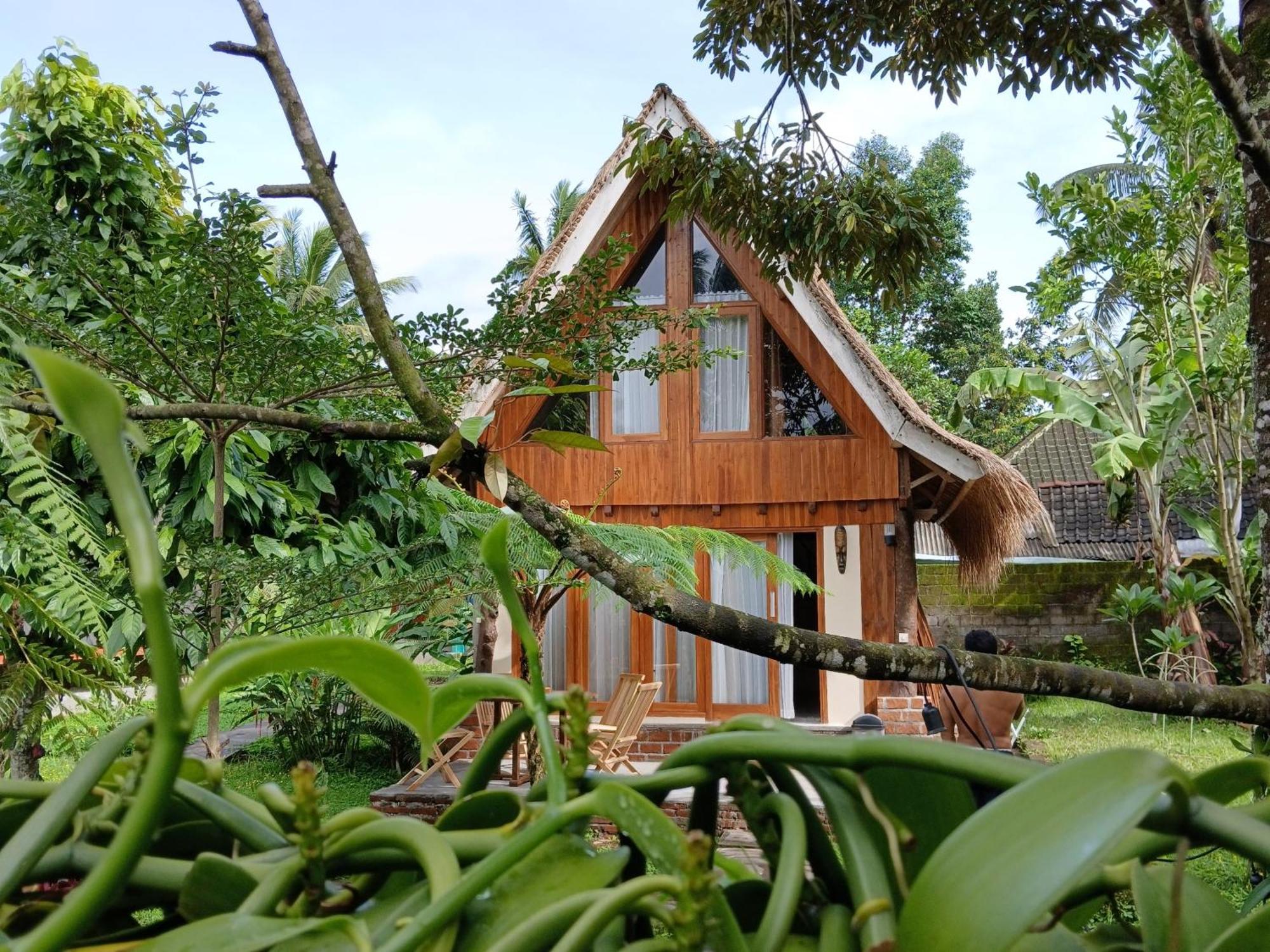 Green Haven Homestay Tetebatu Exterior photo
